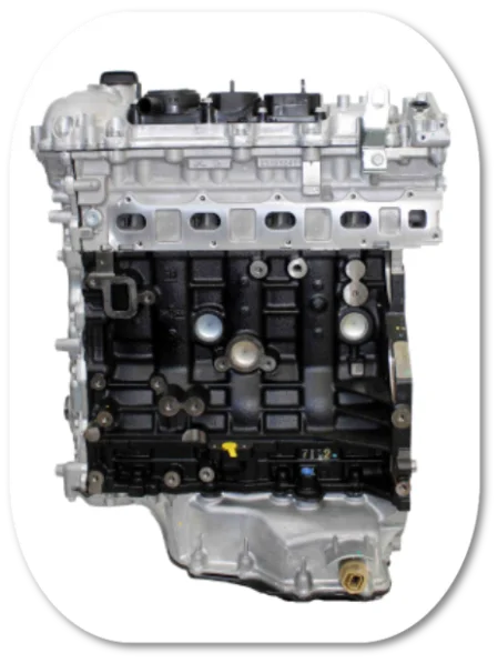 Motore Nuovo Semicompleto Aveo 1.2B-GPL Chevrolet B12D1